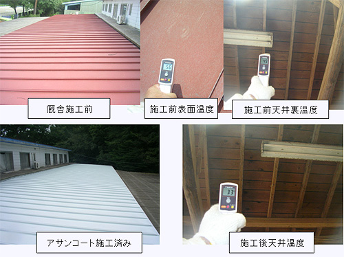 �ߐ{�E�X��